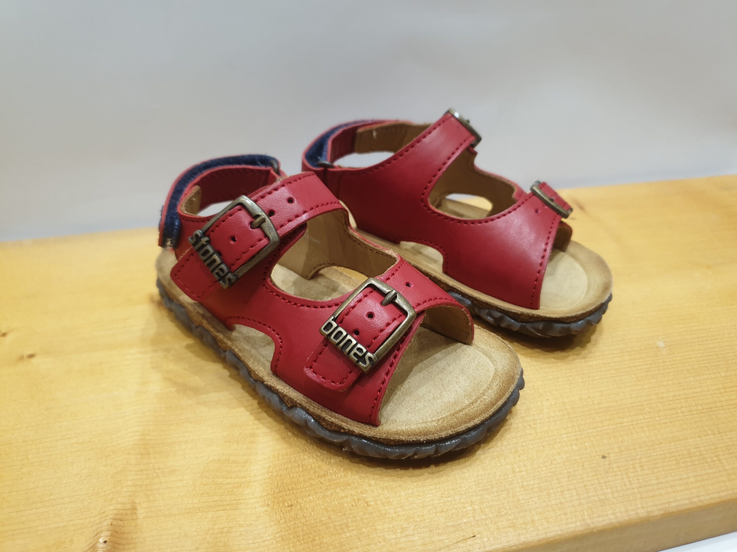 Stones and Bones – Image 2