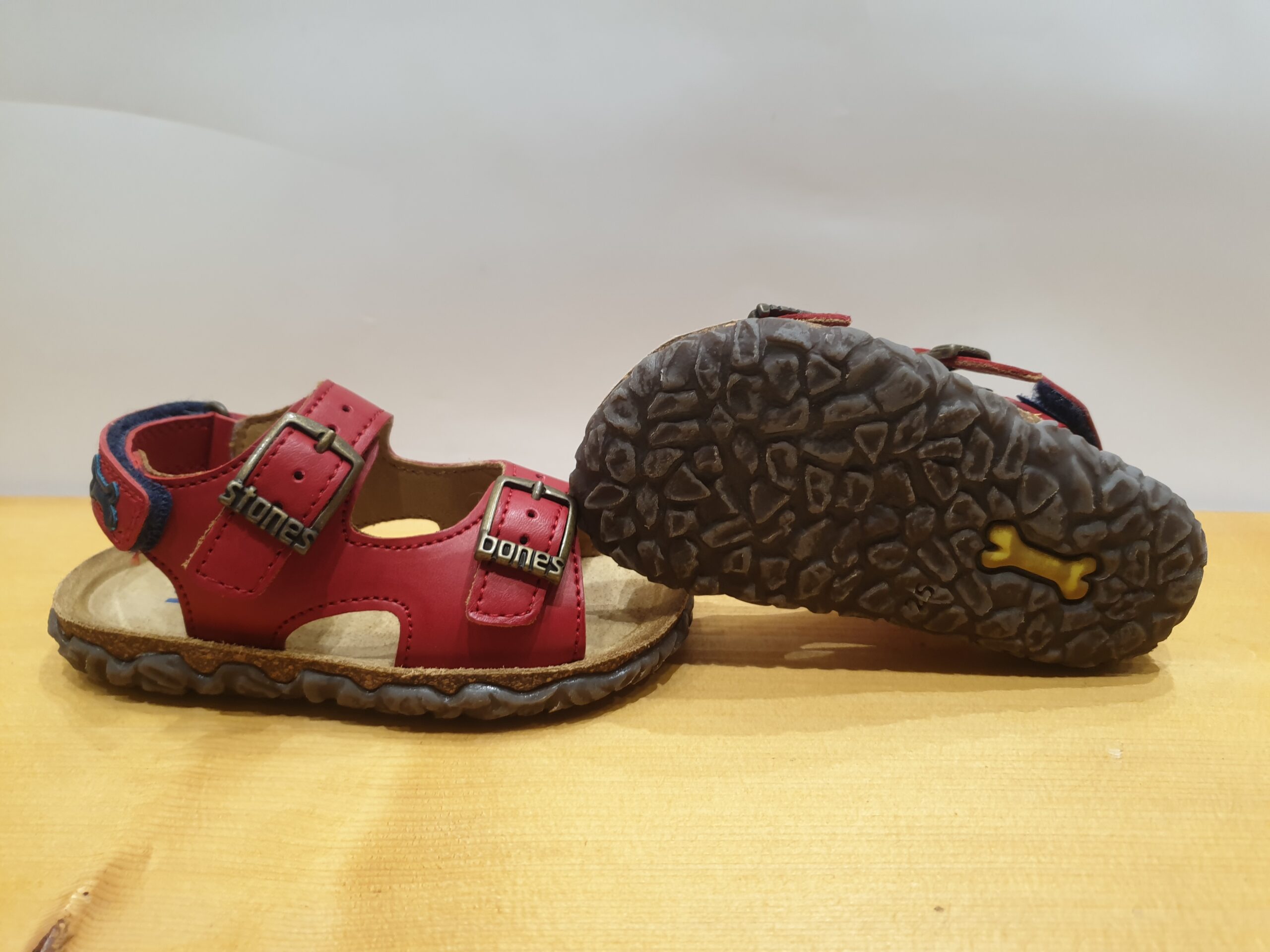 Stones and Bones – Image 4