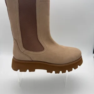 Ara 12-16727 - 06 - S25194