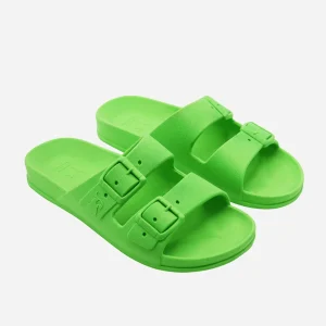 Cacatoès Bahia Claquettes