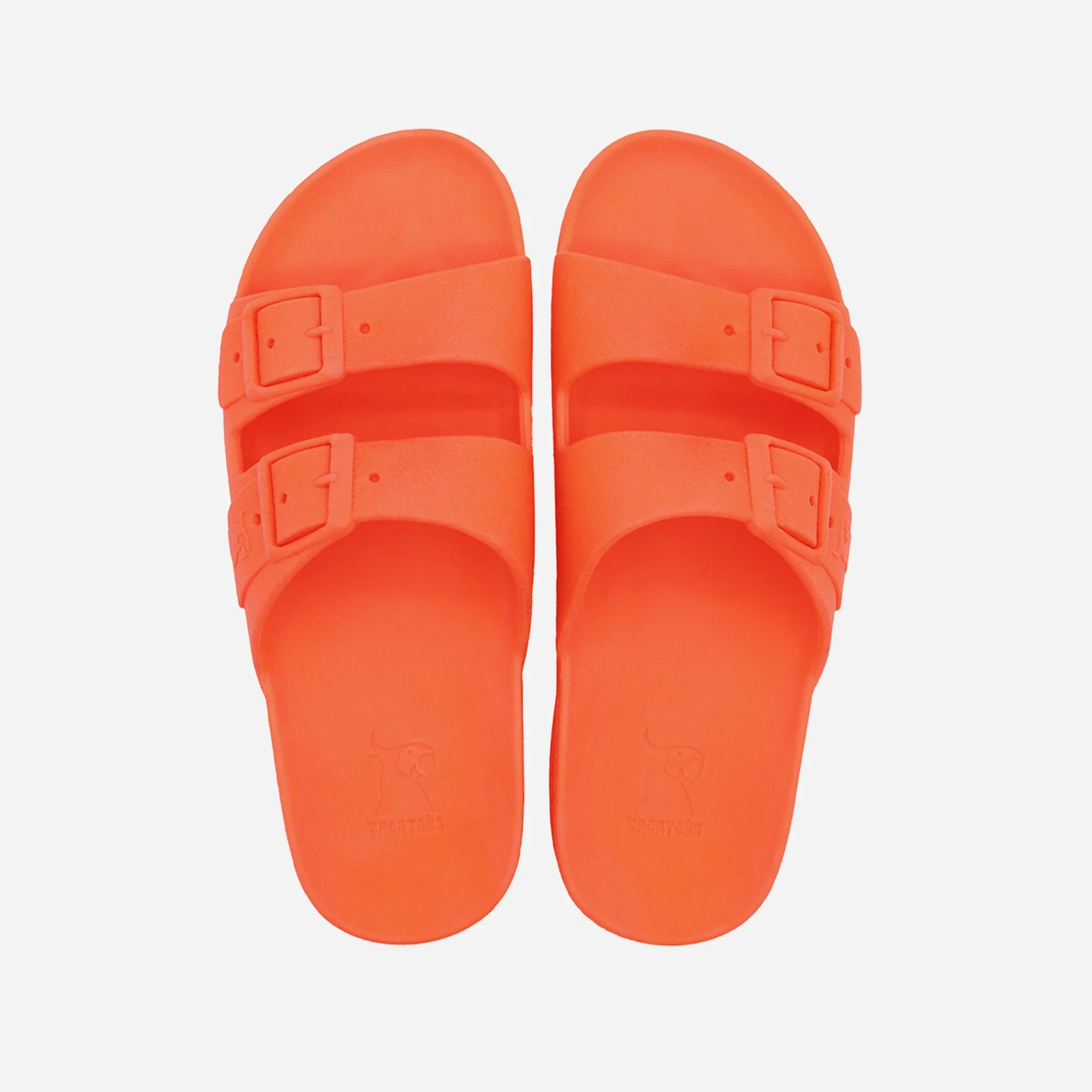 Cacatoès Bahia Claquettes – Image 4