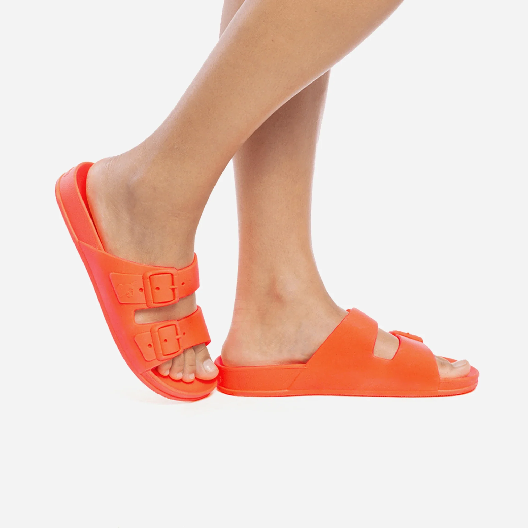 Cacatoès Bahia Claquettes – Image 3