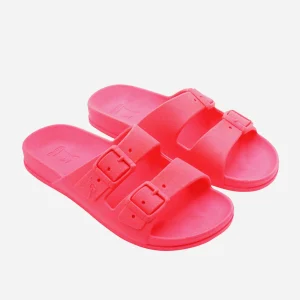 Cacatoès Bahia Claquettes