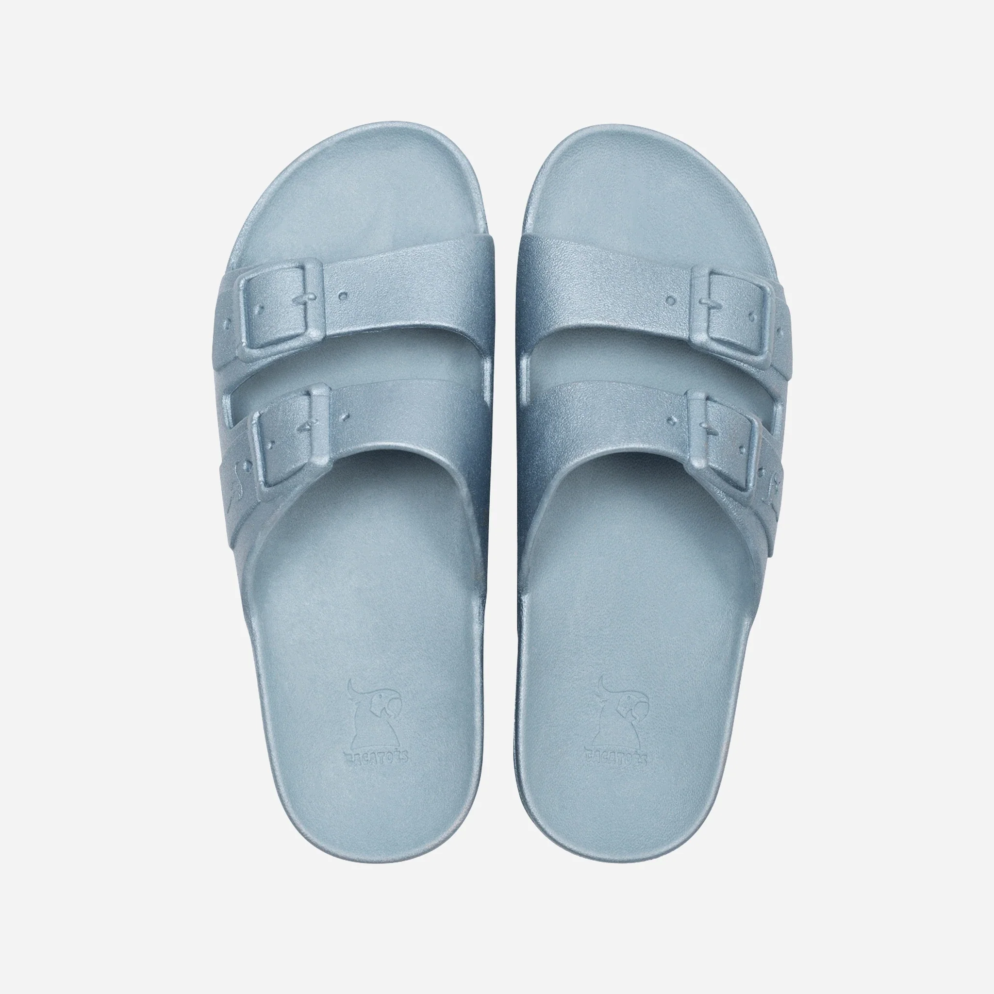 Cacatoès Baleia Claquettes – Image 3