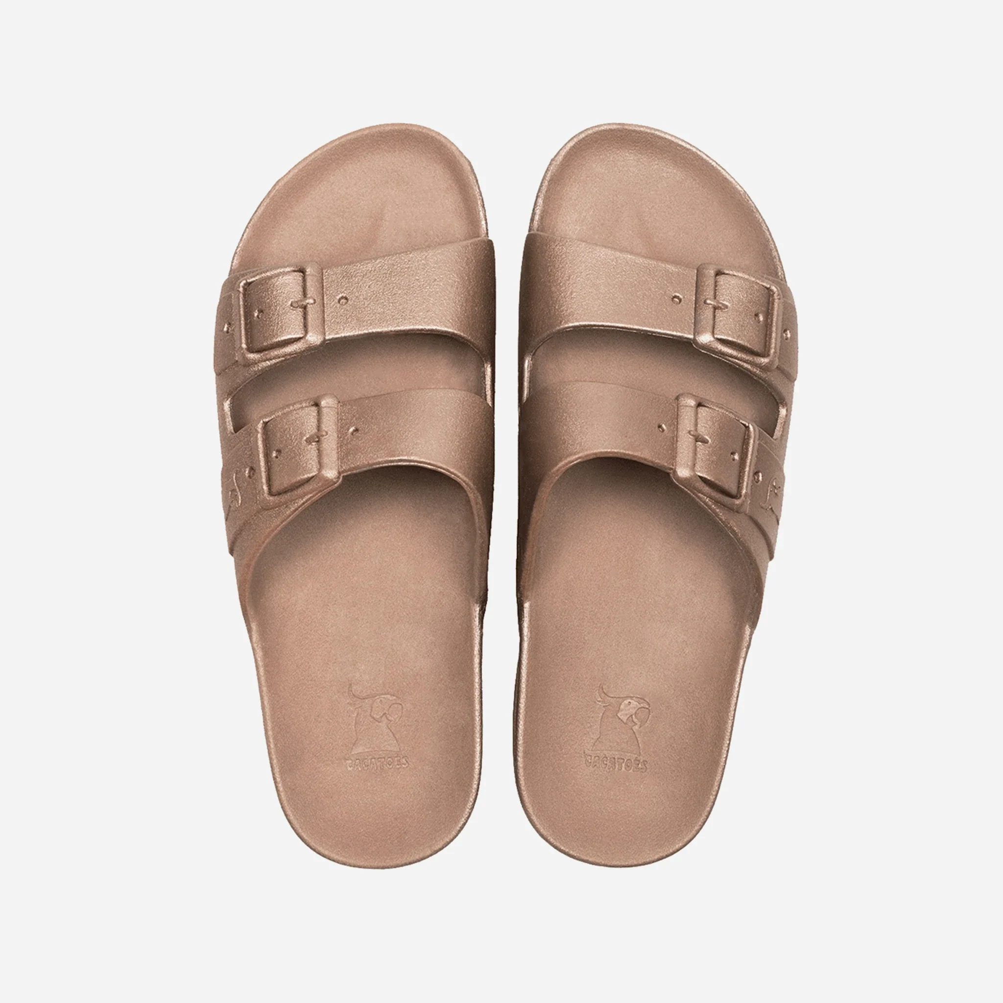 Cacatoès Baleia Claquettes – Image 3