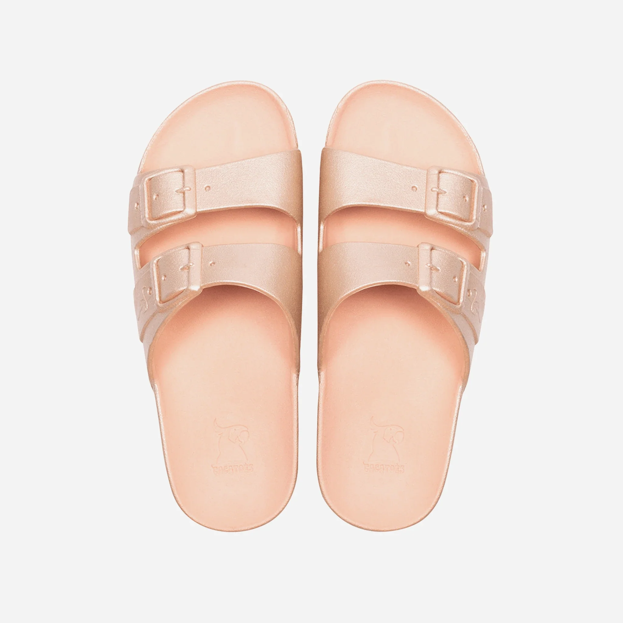 Cacatoès Baleia Claquettes – Image 3