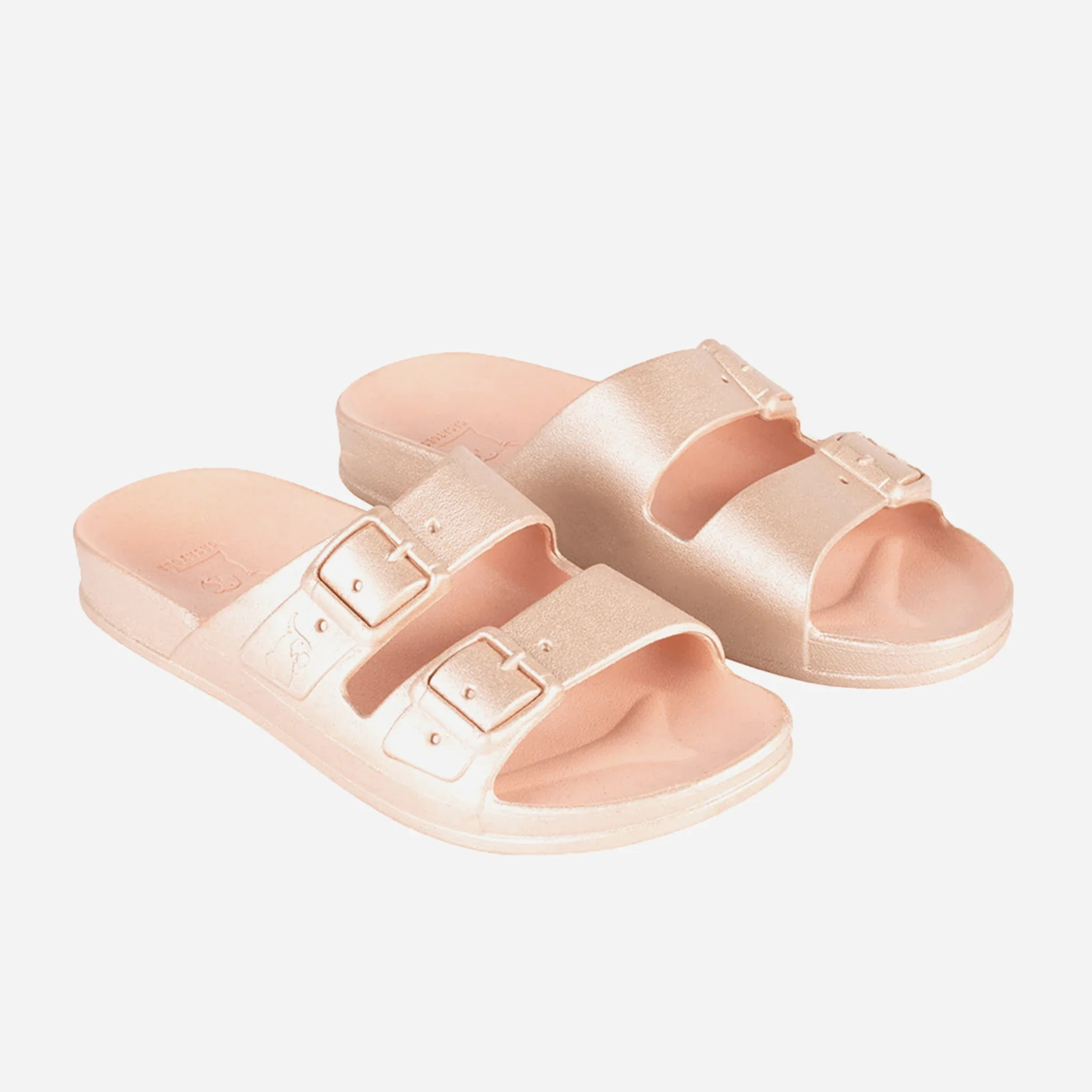 Cacatoès Baleia Claquettes – Image 2