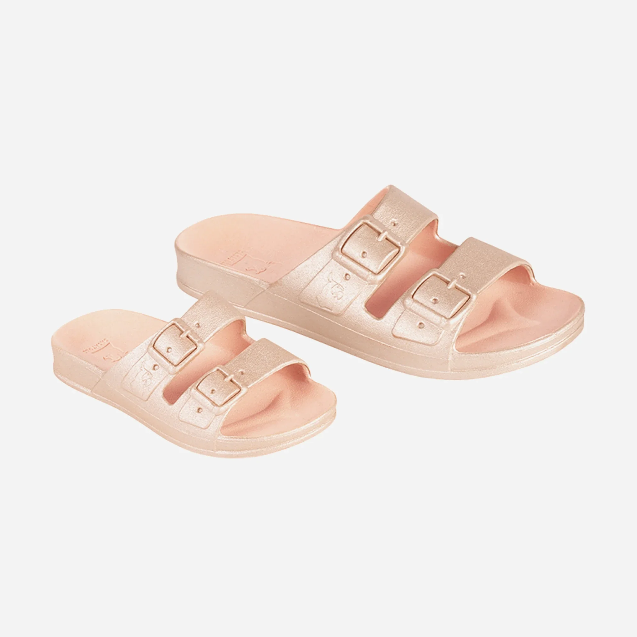 Cacatoès Baleia Claquettes – Image 5