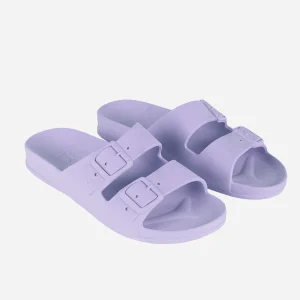 Cacatoès Belo Claquettes