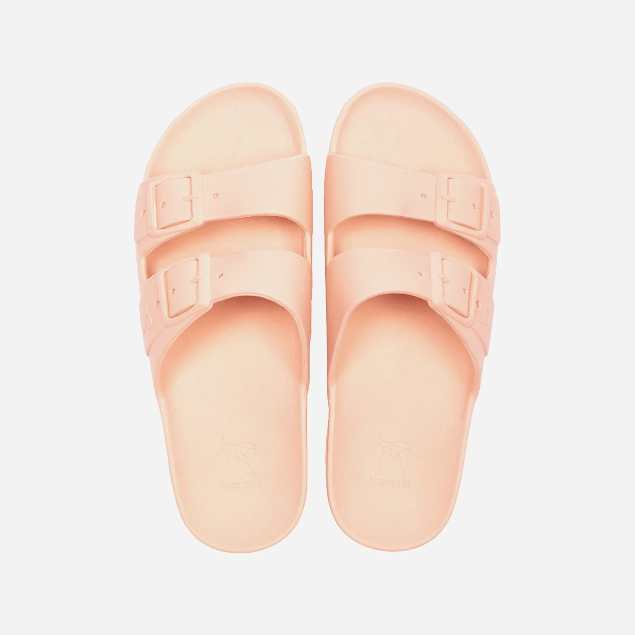 Cacatoès Belo Claquettes – Image 3