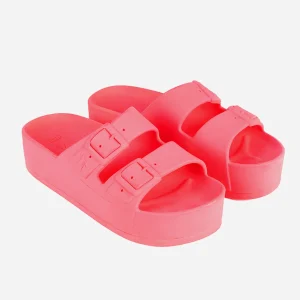 Cacatoès Caipirinha Claquettes