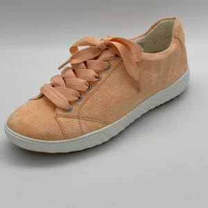 ARA - 12-13640-13 H - S25127