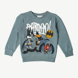 Sweatshirt NAME IT Gris Motif Looney Tunes