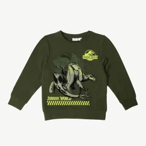 Sweatshirt NAME IT Avec Motif Dinosaurs