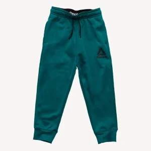 Bas Jogging Reebok Vert d eau