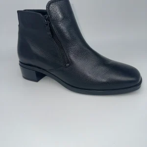 ARA - 12-31809 - S25281