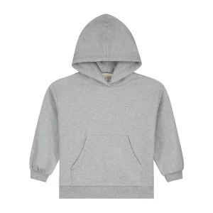 Sweat à capuche gris