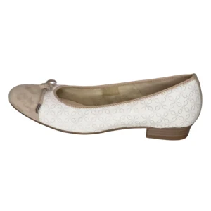 Ara - 1243721 - S24007