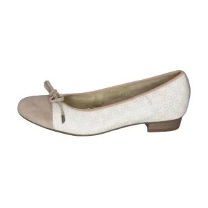 Ara - 1243721 - S25178