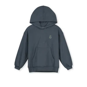 Sweat à capuche bleu gris