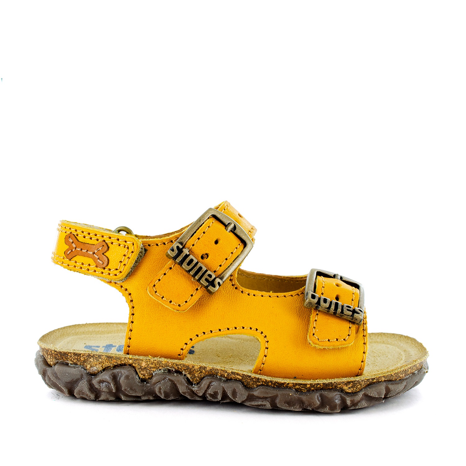 Stones and Bones – Image 2