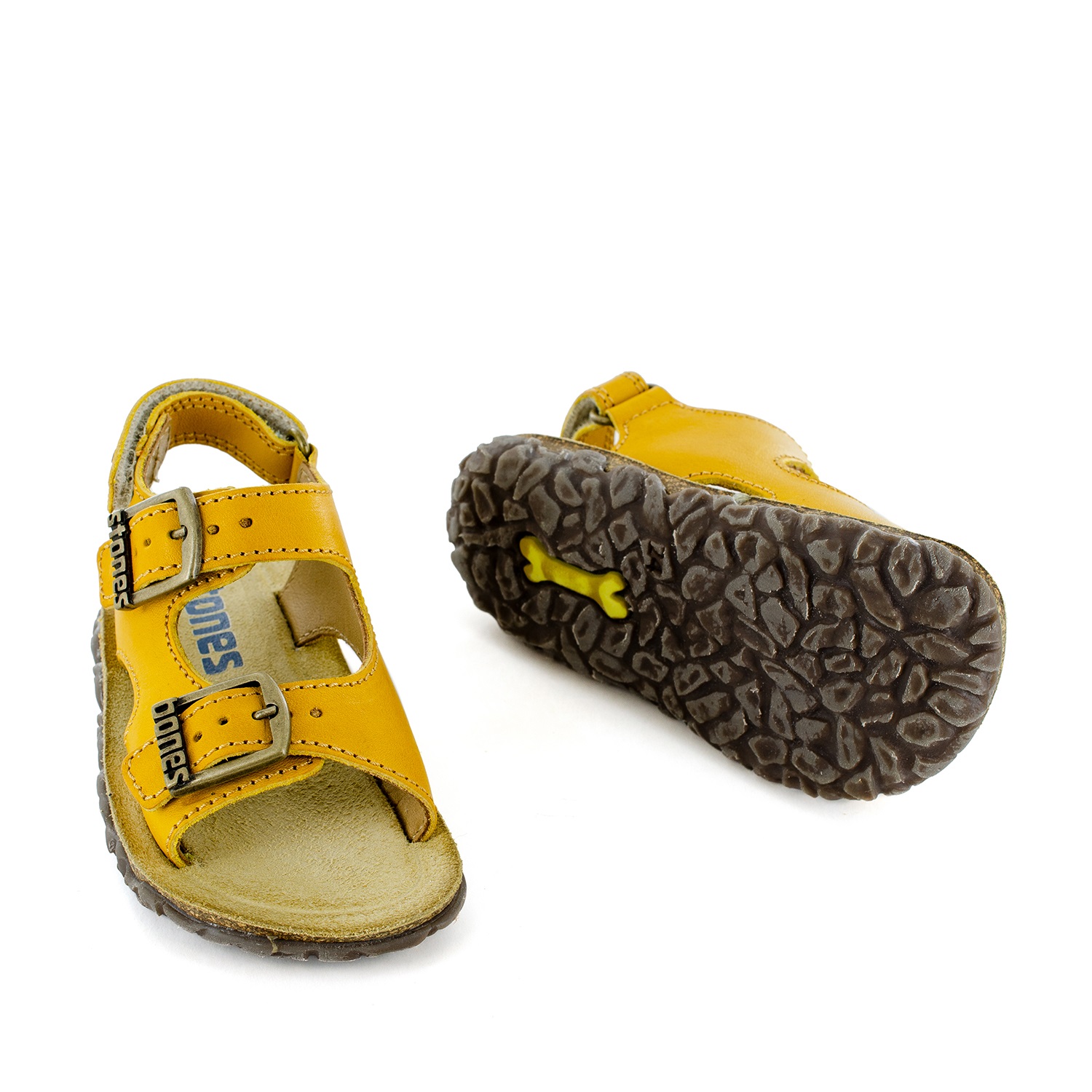 Stones and Bones – Image 3