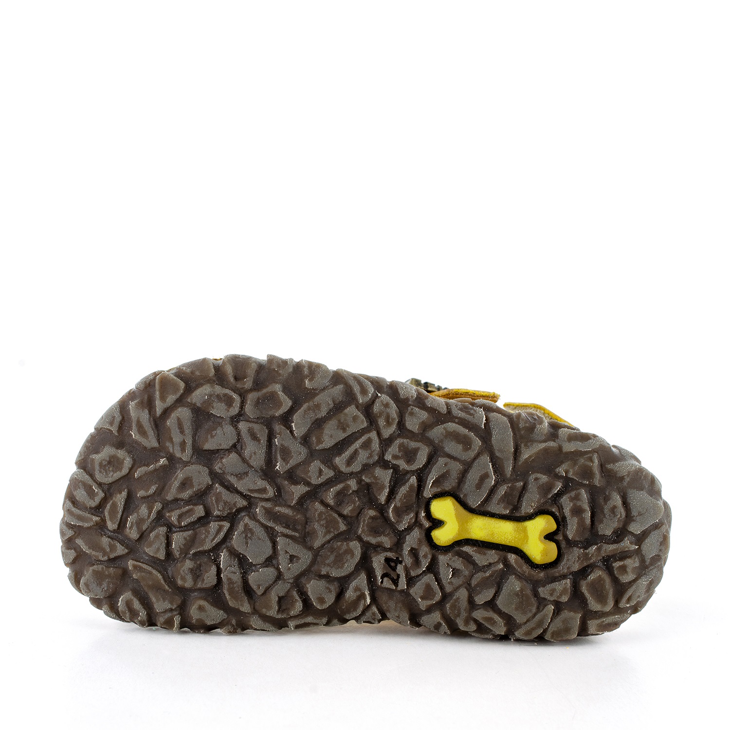 Stones and Bones – Image 4