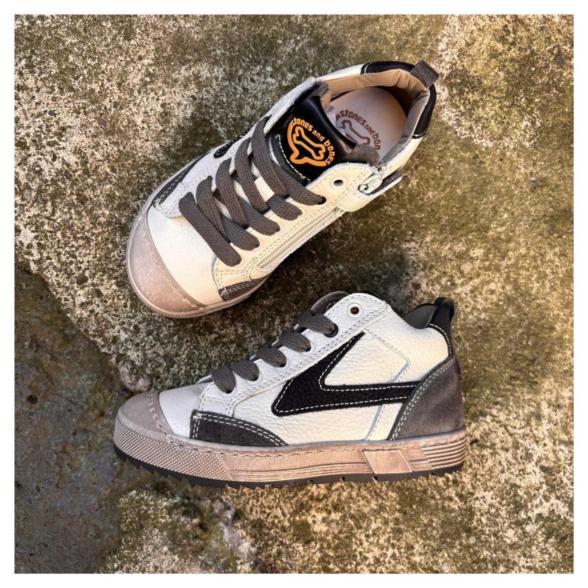 Stones and Bones – Image 3