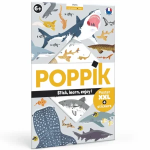 POSTER PÉDAGOGIQUE + 45 STICKERS REQUINS