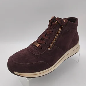 ARA - 12 24808 - S25309